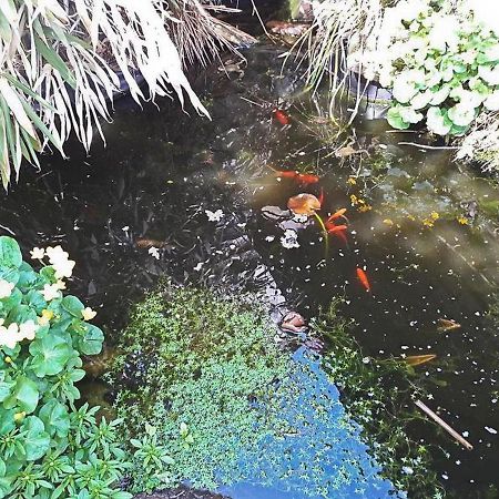 Appartamento Haus Zur Bienenweide Schömberg Esterno foto