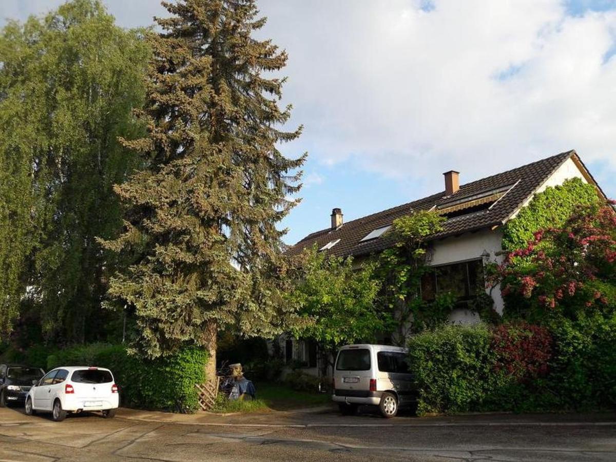 Appartamento Haus Zur Bienenweide Schömberg Esterno foto